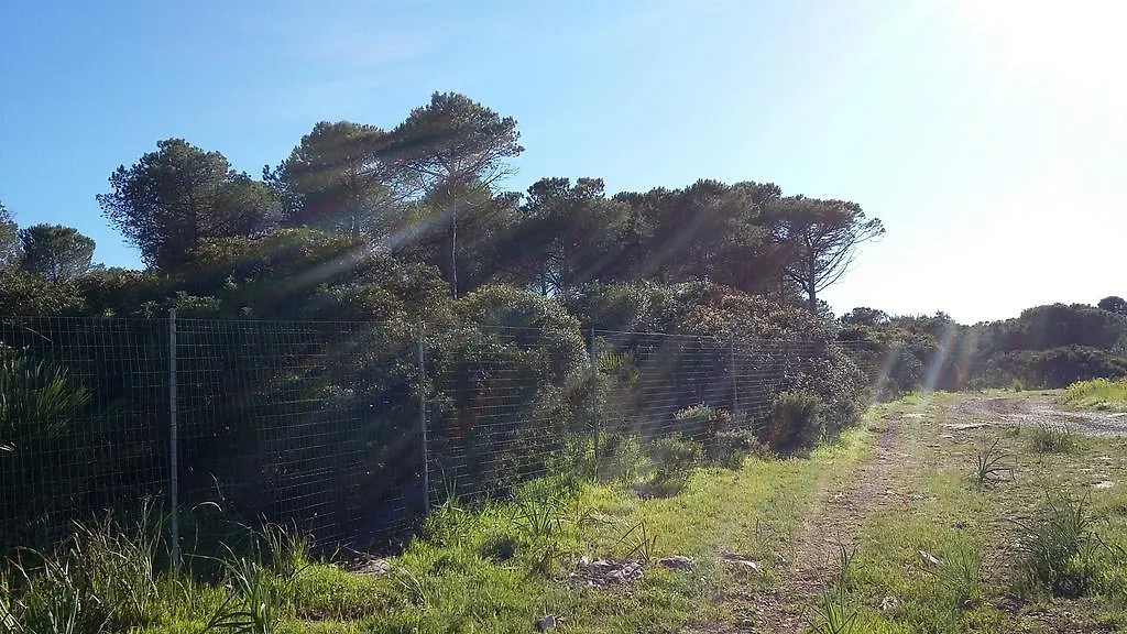 Villa Rosanna Alghero 0*,  Italia